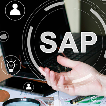 SAP MM, SAP PM, SAP IM, SAP PP Certified Professionals
